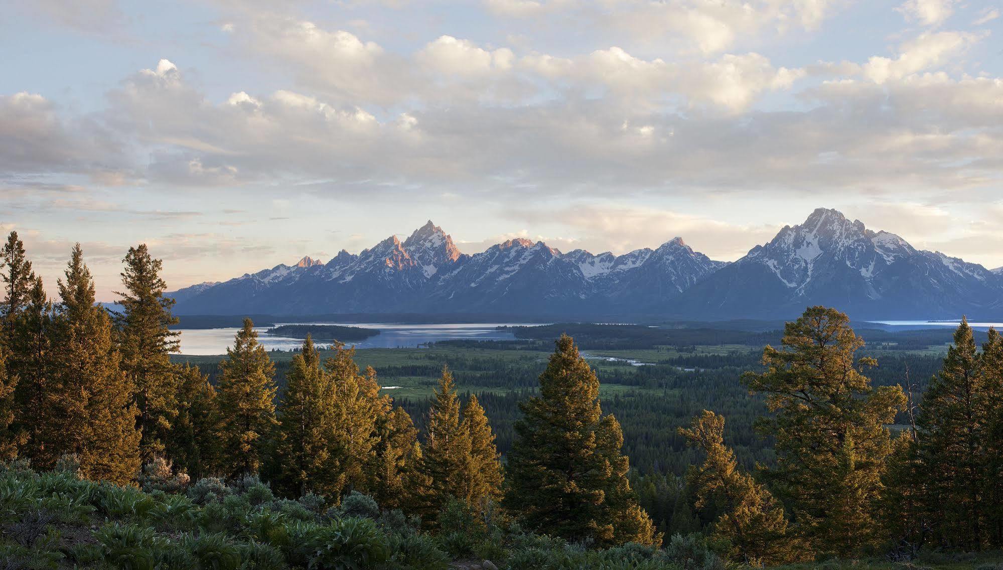 Lodge Jackson Lake Moran